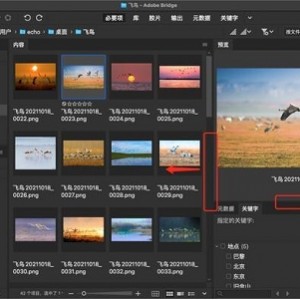 Adobe全系列软件来了 速速拿走